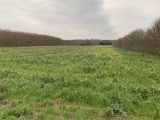  1852735-10819annonce120240513aOud2.jpeg Maisons Open
