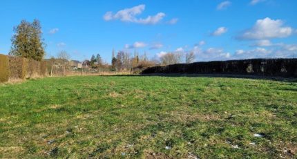 Felleries Terrain à bâtir - 1853788-10863annonce1202405142kzDu.jpeg Maisons Open