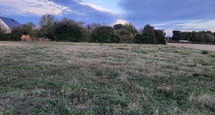 Champigné Terrain à bâtir - 1854581-961annonce120240514cW0R7.jpeg Maisons Open