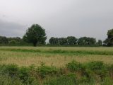  1852627-6172annonce220240513RVqW1.jpeg Maisons Open