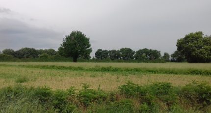 Verfeil Terrain à bâtir - 1852627-6172annonce220240513RVqW1.jpeg Maisons Open