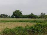  1852627-6172annonce320240513GiwSv.jpeg Maisons Open