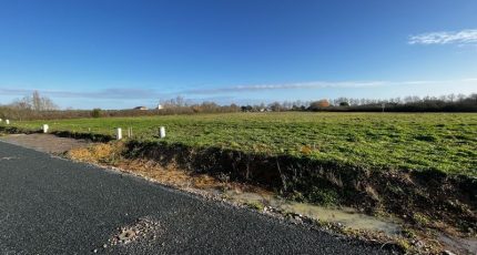 Saint-Michel-en-l'Herm Terrain à bâtir - 1848896-10920annonce120240503J7f51.jpeg Maisons Open