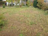  1847192-7109annonce120240430Oo97Z.jpeg Maisons Open
