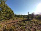  1849323-5100annonce120240503RtdE3.jpeg Maisons Open