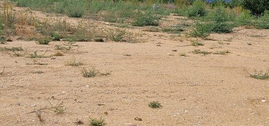 Terrain à bâtir à Los Masos, Occitanie