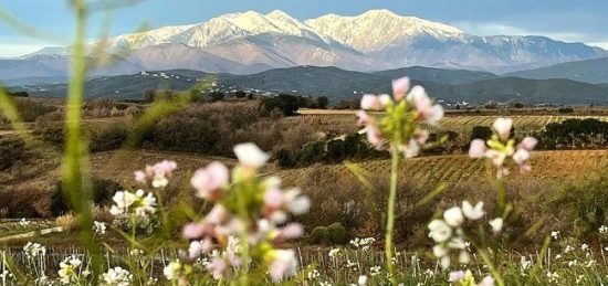 Terrain à bâtir à Bompas, Occitanie