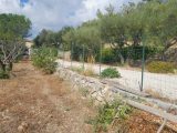  1847910-5922annonce3202405026bnN3.jpeg Maisons Open