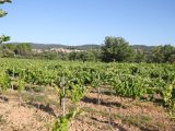 1848005-5922annonce420240502J9Prv.jpeg Maisons Open
