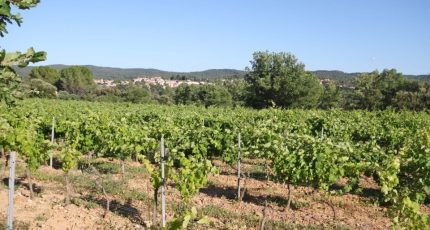 Carcès Terrain à bâtir - 1848005-5922annonce420240502J9Prv.jpeg Maisons Open