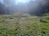  1848088-5922annonce320240502Qds1M.jpeg Maisons Open