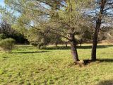  1849160-5922annonce420240503kVxkO.jpeg Maisons Open