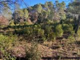 1851902-10122annonce120240510Euefo.jpeg Maisons Open
