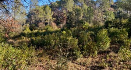 Brignoles Terrain à bâtir - 1851902-10122annonce420240510uiSgB.jpeg Maisons Open