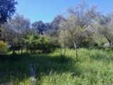  1851926-10122annonce220240510SDUew.jpeg Maisons Open