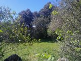  1851926-10122annonce320240510gqek4.jpeg Maisons Open