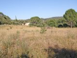  1851937-10122annonce220240510JgXXC.jpeg Maisons Open