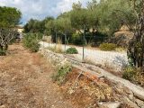  1851949-10122annonce420240510PPDXT.jpeg Maisons Open