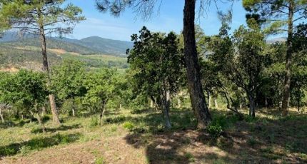 Grimaud Terrain à bâtir - 1851961-10122annonce220240510nzx0L.jpeg Maisons Open