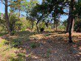  1851961-10122annonce420240510GfEOJ.jpeg Maisons Open