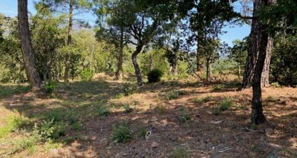 Grimaud Terrain à bâtir - 1851961-10122annonce420240510GfEOJ.jpeg Maisons Open