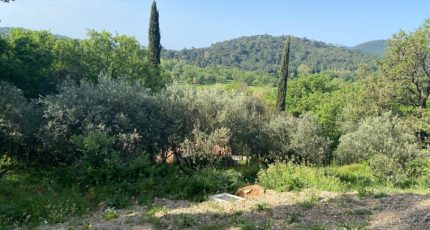 Pierrefeu-du-Var Terrain à bâtir - 1852118-10122annonce220240510ocTvl.jpeg Maisons Open