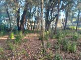  1853324-5922annonce220240513izTD3.jpeg Maisons Open