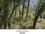  1851708-3951annonce22024051021FVt.jpeg Maisons Open