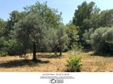  1851732-3951annonce220240510iLPUP.jpeg Maisons Open