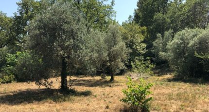 Draguignan Terrain à bâtir - 1851732-3951annonce220240510iLPUP.jpeg Maisons Open