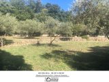  1851741-3951annonce320240510SNB54.jpeg Maisons Open