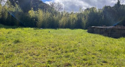 Flayosc Terrain à bâtir - 1851791-3951annonce1202405106khTk.jpeg Maisons Open