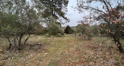 Lorgues Terrain à bâtir - 1852832-3951annonce1202405136pZ8t.jpeg Maisons Open