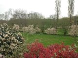  1848698-10924annonce220240502T1Tc4.jpeg Maisons Open