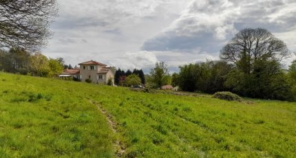 Bonnac-la-Côte Terrain à bâtir - 1858548-10865annonce120240517pcoPA.jpeg Maisons Open
