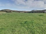  1856498-4496annonce120240516t2Xml.jpeg Maisons Open
