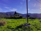  1856454-3059annonce220240516sPE31.jpeg Maisons Open