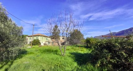 Carros Terrain à bâtir - 1856454-3059annonce4202405166W7xi.jpeg Maisons Open