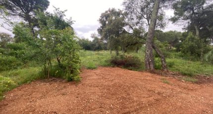 Le Cannet-des-Maures Terrain à bâtir - 1857226-10122annonce120240516fSNsR.jpeg Maisons Open