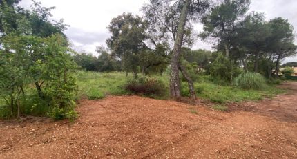 Le Cannet-des-Maures Terrain à bâtir - 1857226-10122annonce220240516X7ztx.jpeg Maisons Open