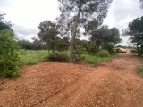  1857226-10122annonce320240516ZmaDT.jpeg Maisons Open