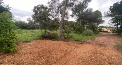 Le Cannet-des-Maures Terrain à bâtir - 1857226-10122annonce320240516ZmaDT.jpeg Maisons Open