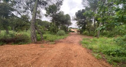 Le Cannet-des-Maures Terrain à bâtir - 1857226-10122annonce420240516F8dic.jpeg Maisons Open
