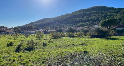 Cuers Terrain à bâtir - 1860877-5622annonce220240522KrvTS.jpeg Maisons Open