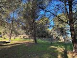  1861939-5622annonce220240523oeCPm.jpeg Maisons Open