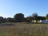  1864532-3418annonce120240124za7XH.jpeg Maisons Open