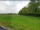  1861193-10631annonce120240523yLplT.jpeg Maisons Open