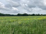  1861853-1807annonce220240523ymF0e.jpeg Maisons Open