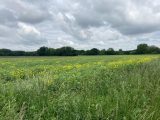  1861853-1807annonce320240523iqUSc.jpeg Maisons Open