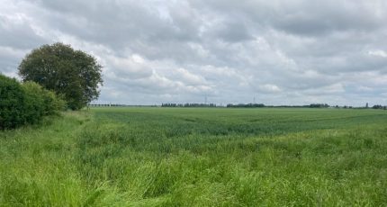 Provin Terrain à bâtir - 1862358-1807annonce3202405234BGny.jpeg Maisons Open